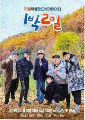 乘风2024 综艺封面