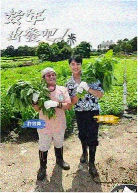 向往的生活7 综艺封面